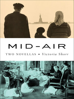 cover image of Mid-Air
